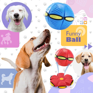 Funny Ball - para Cães